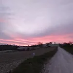 Casal Del Sole - L'ulivo *