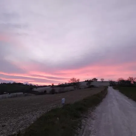 Casal Del Sole - L'ulivo *