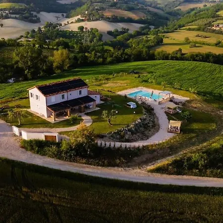 Casal Del Sole - L'ulivo