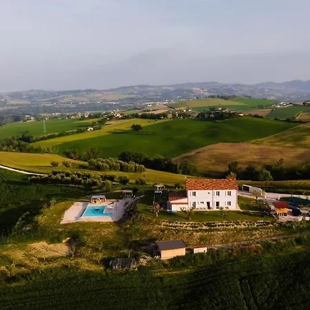 Casal Del Sole - L'ulivo *