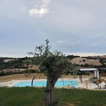 Casal Del Sole - L'ulivo